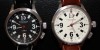 DM1a and b web